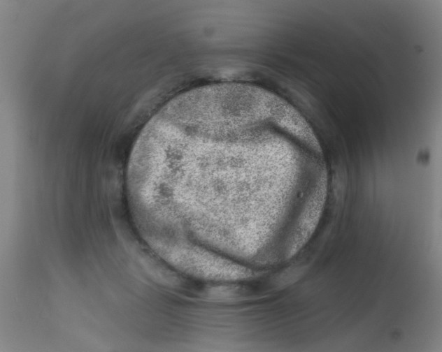 X0000113860461200910221445