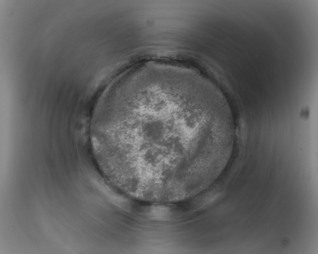 X0000113860462200910221445