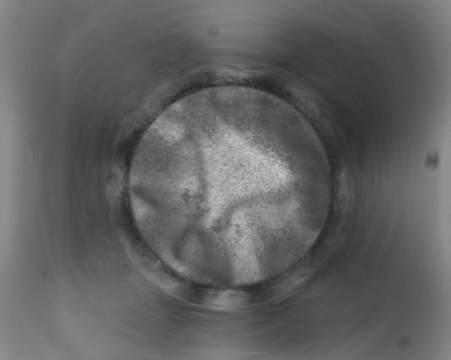 X0000113860463200910221445