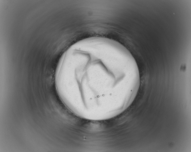 X0000113860464200910221445