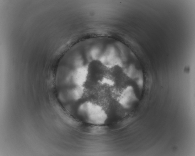 X0000113860465200910221445
