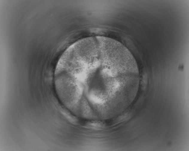 X0000113860466200910221445