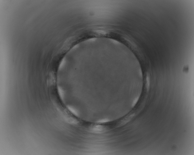 X0000113860467200910221445