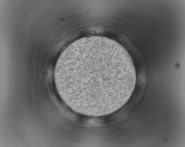X0000113860468200910221445