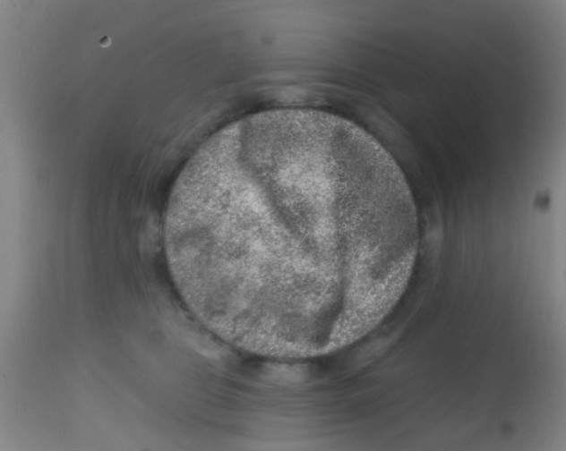 X0000113860469200910221445