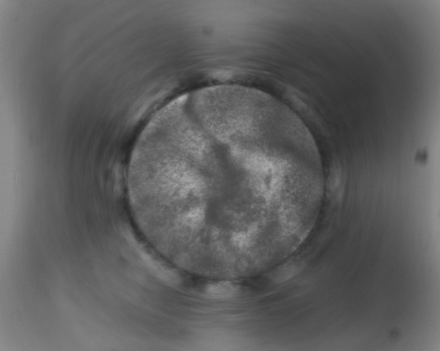 X0000113860470200910221445