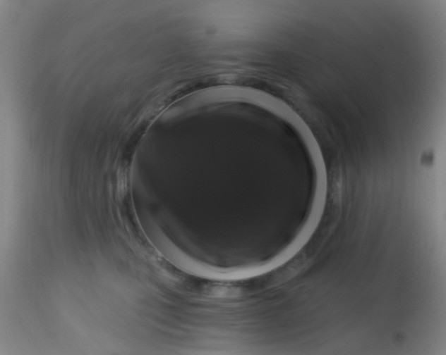 X0000113860471200910221445