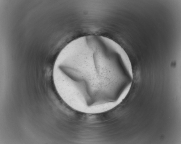 X0000113860472200910221445