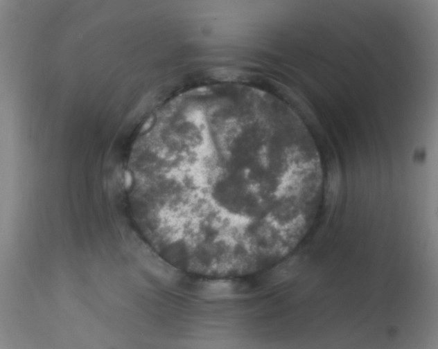 X0000113860473200910221445