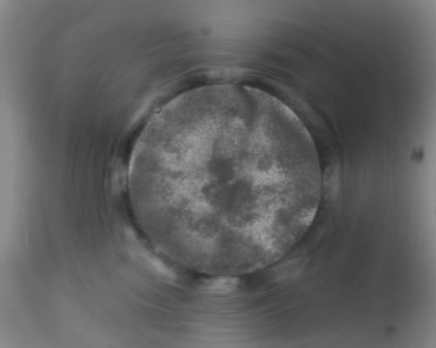 X0000113860474200910221445