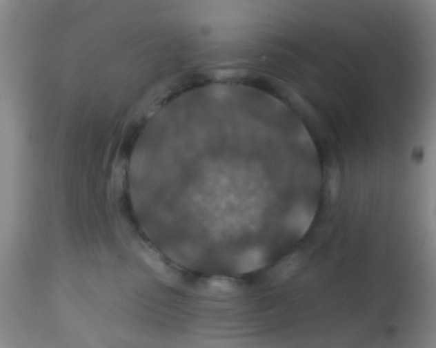X0000113860475200910221445
