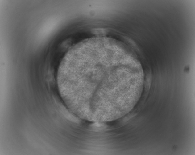X0000113860477200910221445