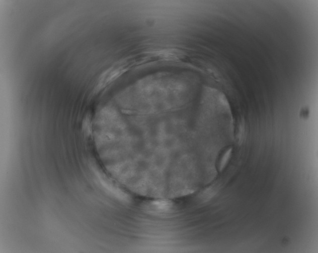 X0000113860478200910221445