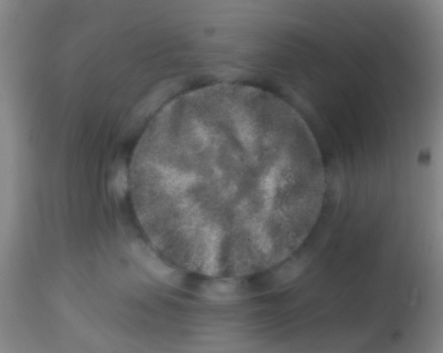 X0000113860479200910221445