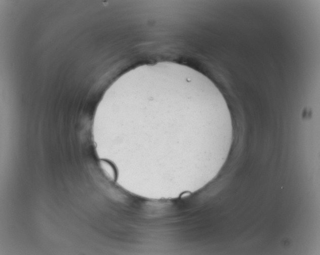 X0000113860480200910221445
