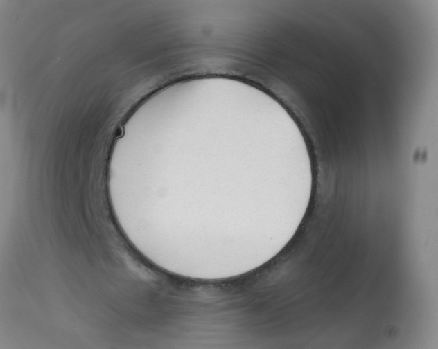 X0000113860481200910221444