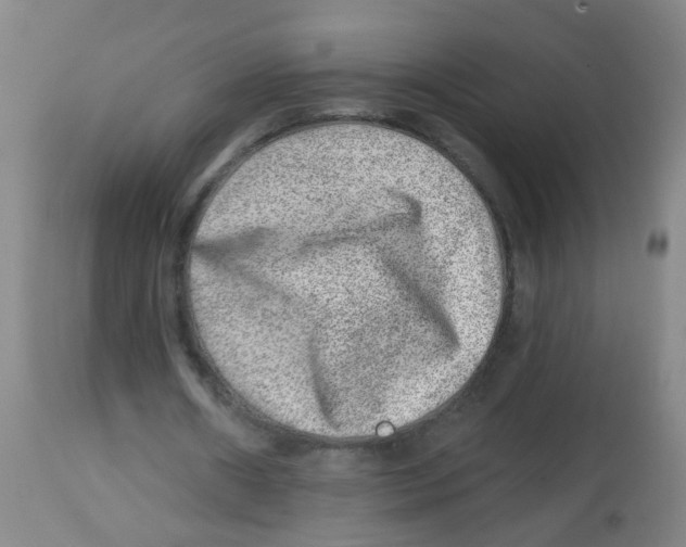 X0000113860482200910221444
