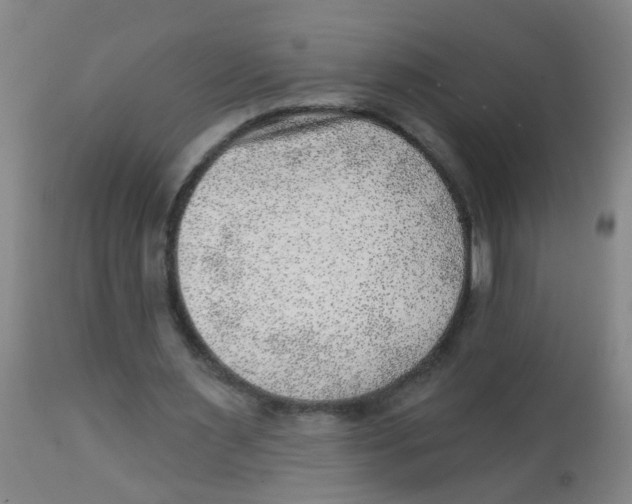 X0000113860483200910221444
