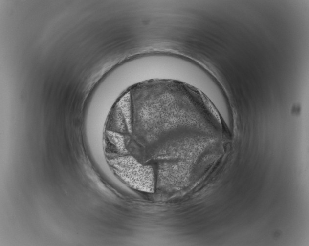 X0000113860485200910221444