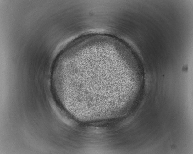 X0000113860486200910221444