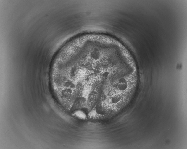 X0000113860487200910221444