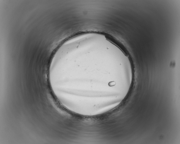 X0000113860489200910221444
