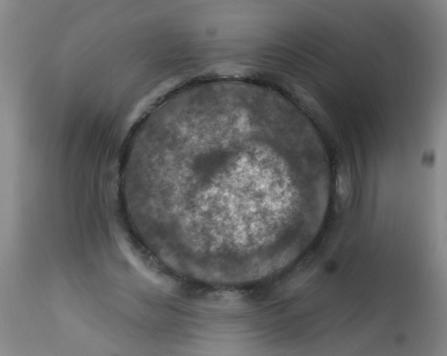 X0000113860492200910221444