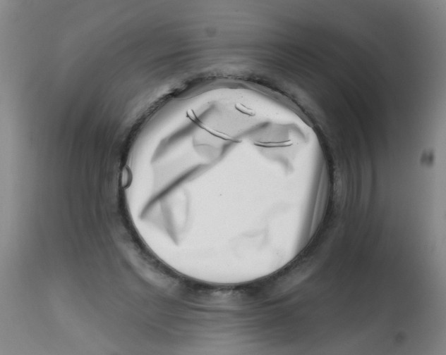 X0000113860493200910221444