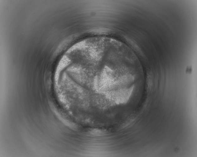X0000113860494200910221444
