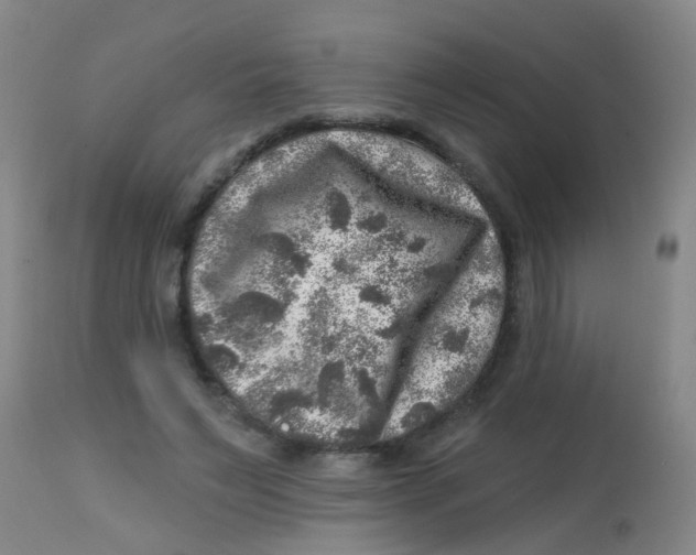 X0000113860495200910221444
