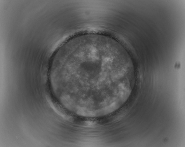 X0000113860496200910221444