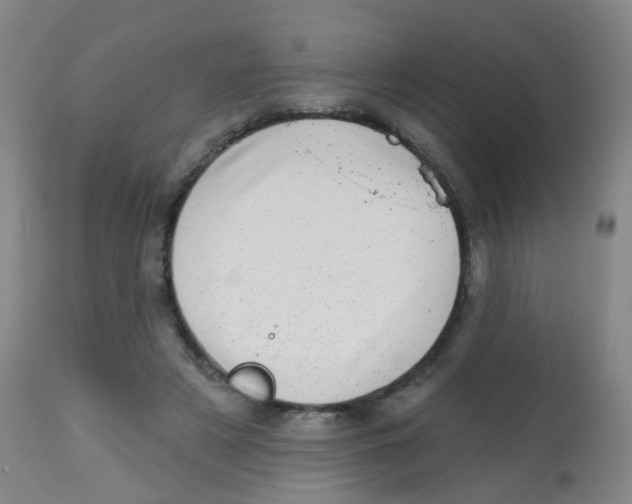 X0000113860497200910221444
