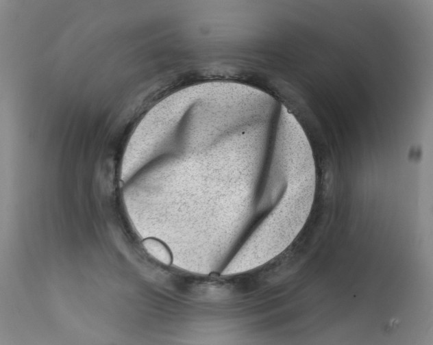 X0000113860498200910221444