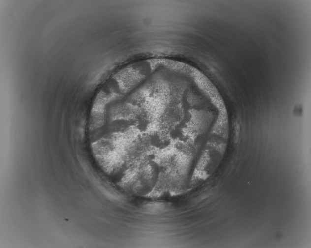 X0000113860499200910221444