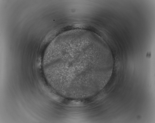 X0000113860502200910221444