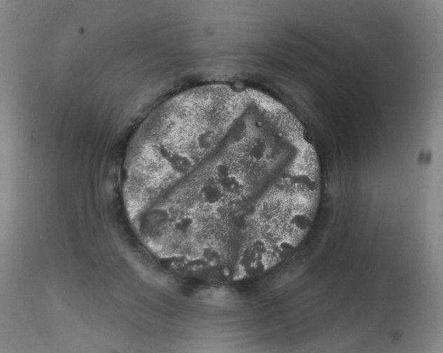 X0000113860503200910221444