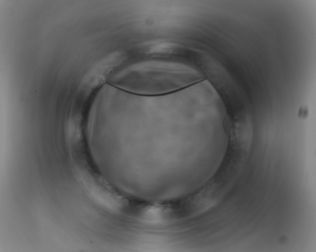 X0000113860504200910221444