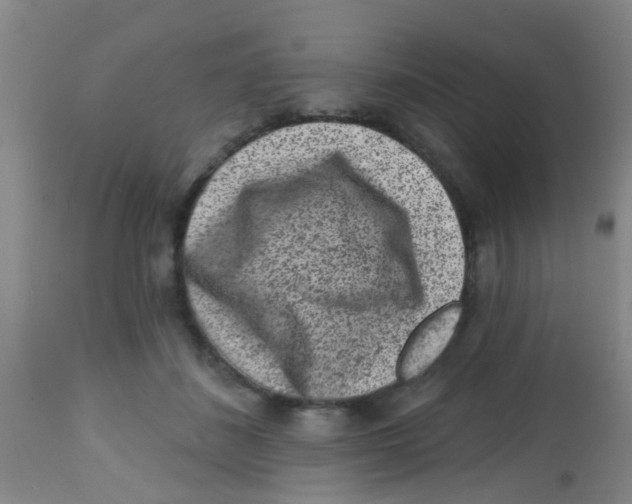 X0000113860508200910221444