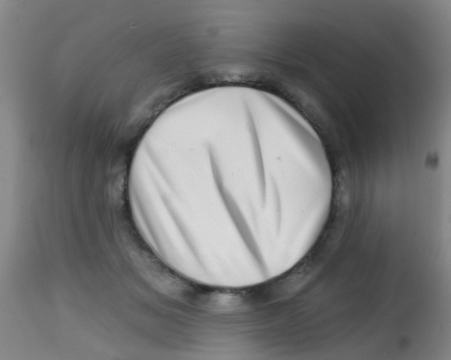 X0000113860509200910221444