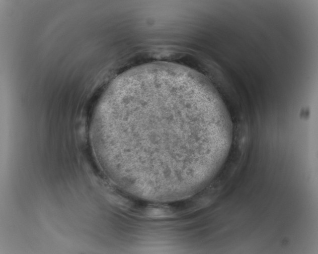 X0000113860510200910221444