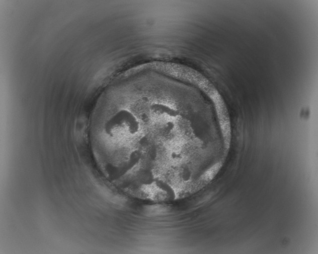 X0000113860511200910221444