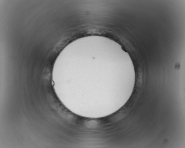 X0000113860513200910221444