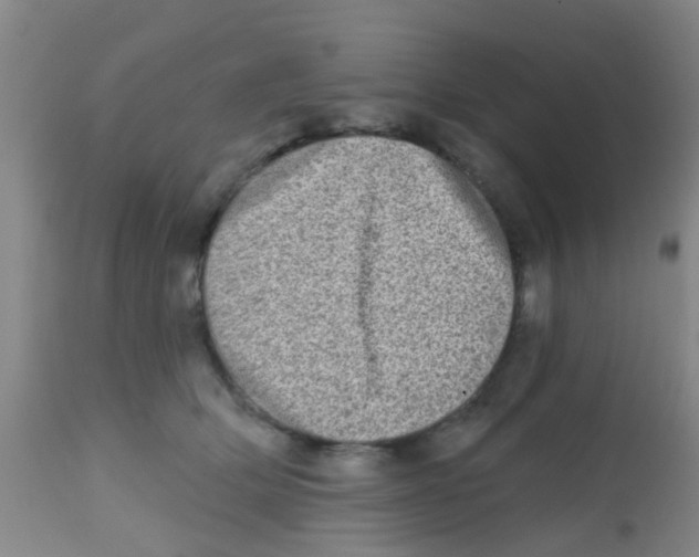 X0000113860514200910221444