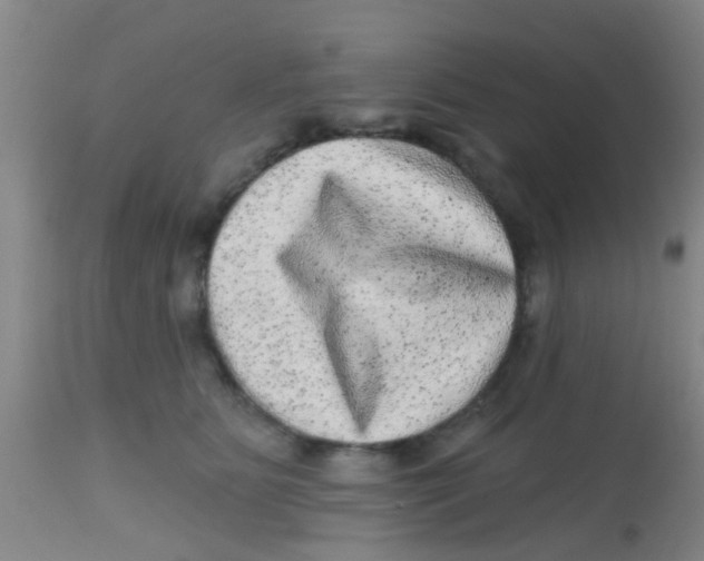X0000113860515200910221444