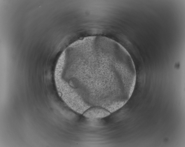 X0000113860516200910221444