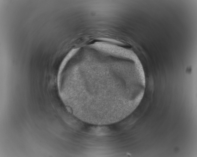 X0000113860517200910221444