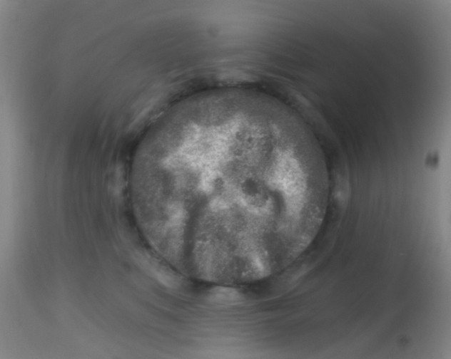 X0000113860519200910221444