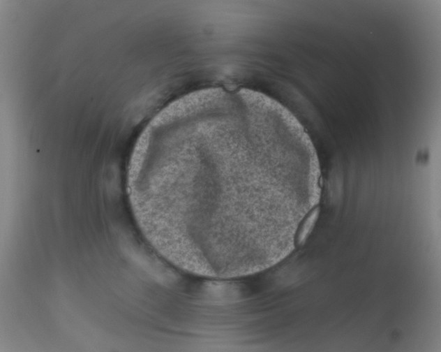 X0000113860520200910221444