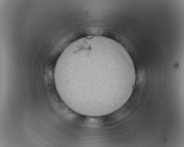 X0000113860522200910221444