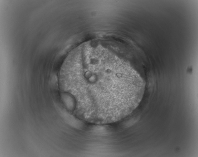 X0000113860523200910221444